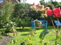 Unser Garten